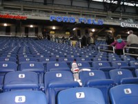 sock monkey inside Ford Field