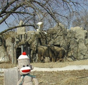 sock monkey with elephants