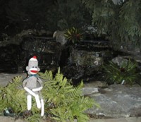 sock monkey at pond 